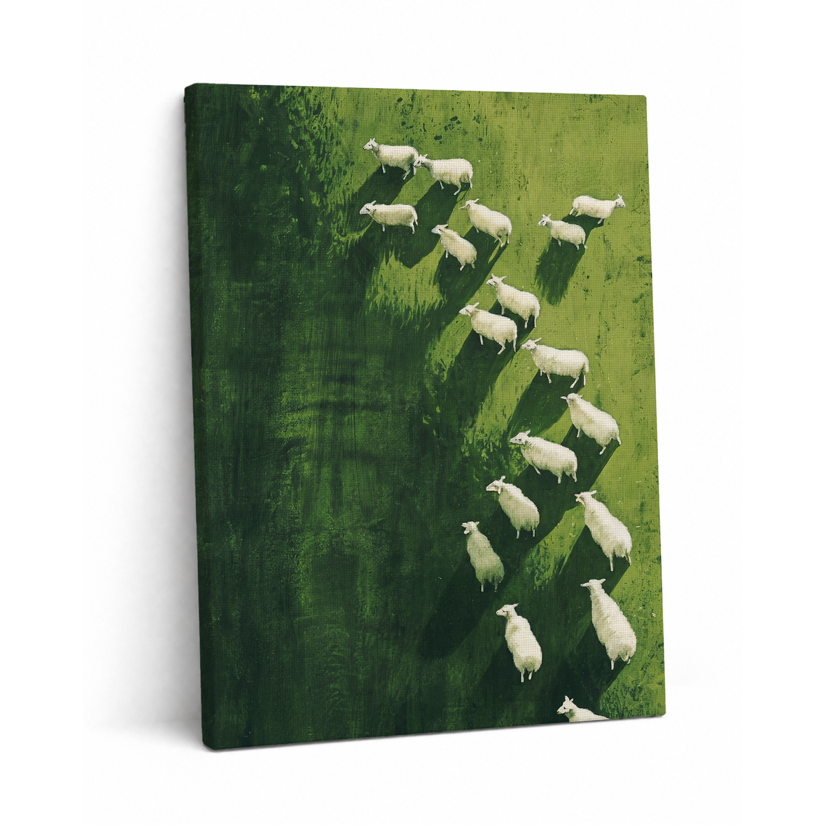 Sheep Aerial Canvas Frame